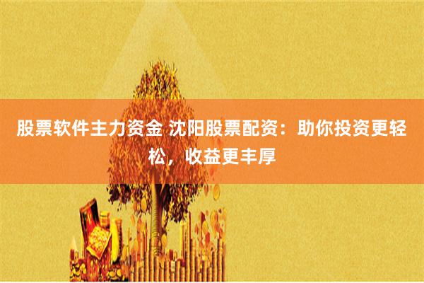 股票软件主力资金 沈阳股票配资：助你投资更轻松，收益更丰厚