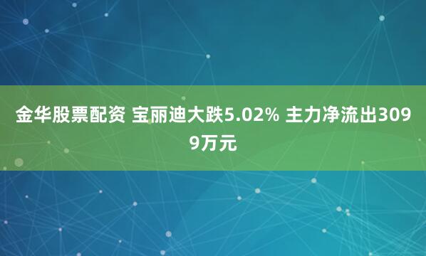 金华股票配资 宝丽迪大跌5.02% 主力净流出3099万元