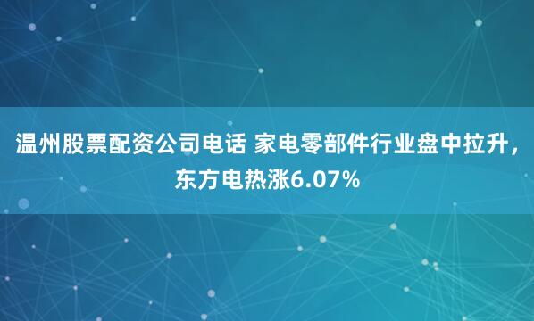 温州股票配资公司电话 家电零部件行业盘中拉升，东方电热涨6.07%