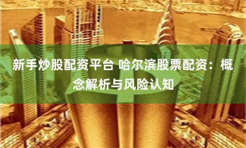 新手炒股配资平台 哈尔滨股票配资：概念解析与风险认知